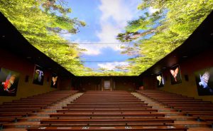 مزایای سقف کشسان 