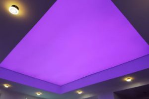 قیمت سقف کشسان