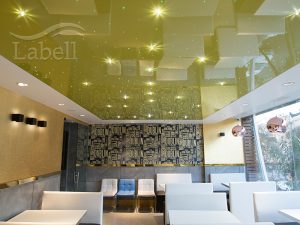 قیمت سقف کشسان