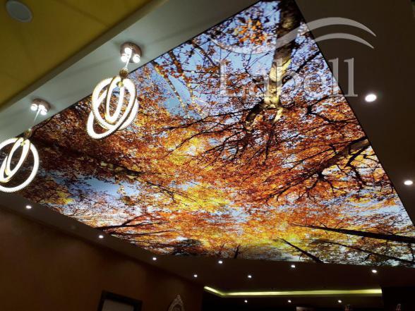 خرید سقف کشسان لاکر در عمده فروشی ها