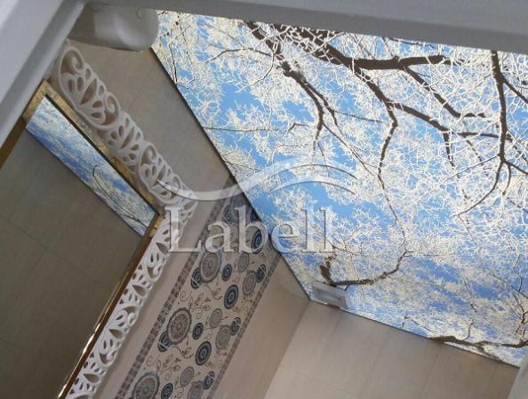 مرکز خرید سقف کشسان سرویس بهداشتی