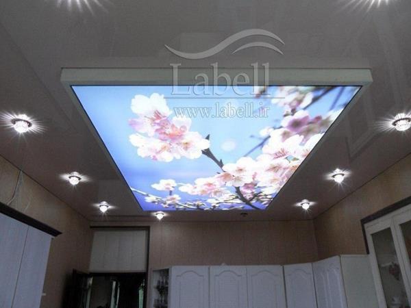 بررسی کیفی سقف کشسان کوچک