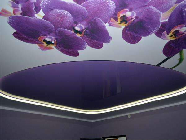 نرخ روز سقف کشسان مینیمال