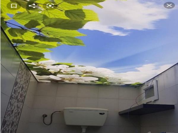 فروش ویژه سقف کشسان اشتهارد