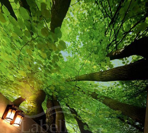 اجرای سقف کشسان لاکر با نورپردازی