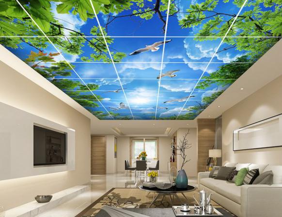 عرضه خدمات سقف کشسانی لاکچری