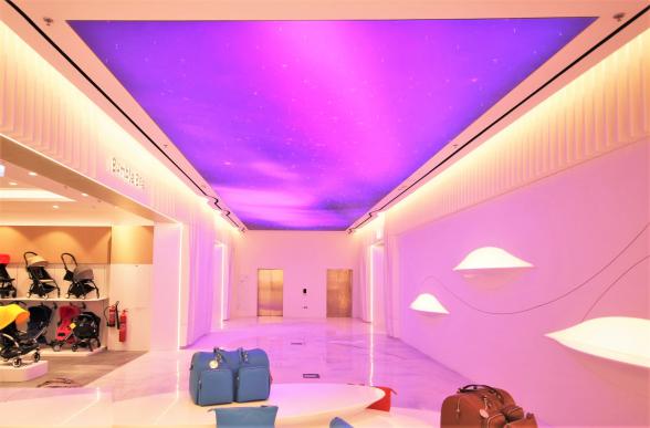 قابلیت چاپ تصاویر دلخواه روی سقف کشسان