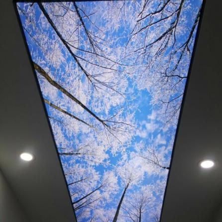 شرکت اجرا سقف کشسان ساری