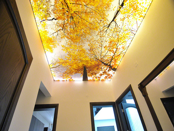 سقف کشسان و کفپوش سه بعدی