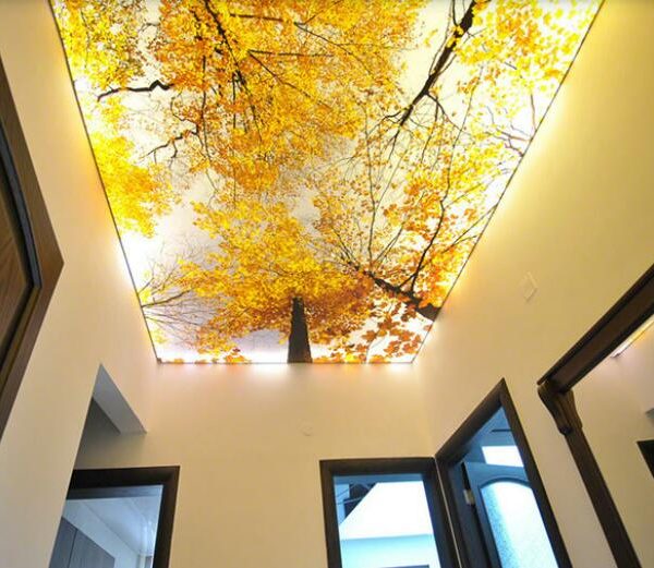 سقف-کشسان-در-کرج-2