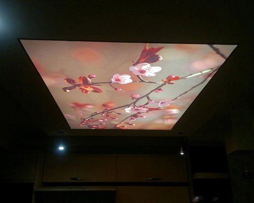 خرید سقف کشسان سالن پذیرایی طرح دار