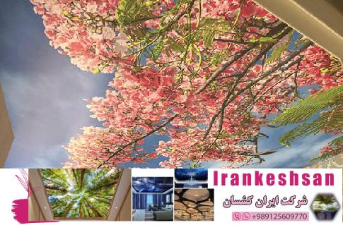 سقف کشسان برای مغازه